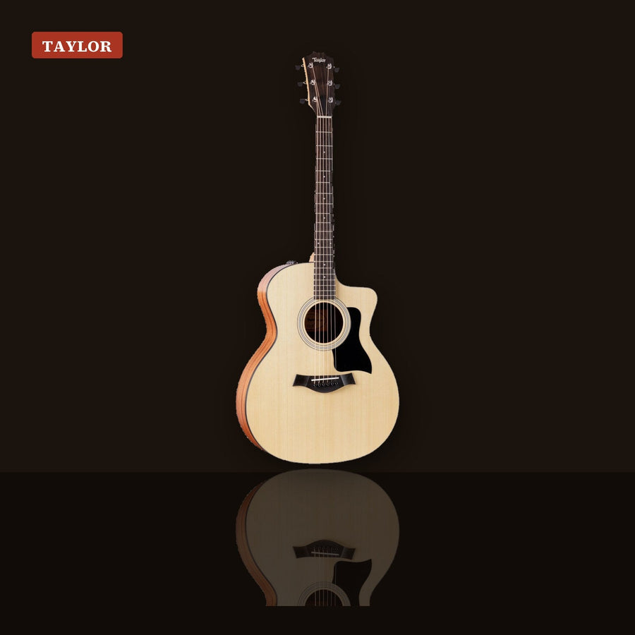 Fingerstyle vs strumming Taylor 114ce grand auditorium acoustic guitar