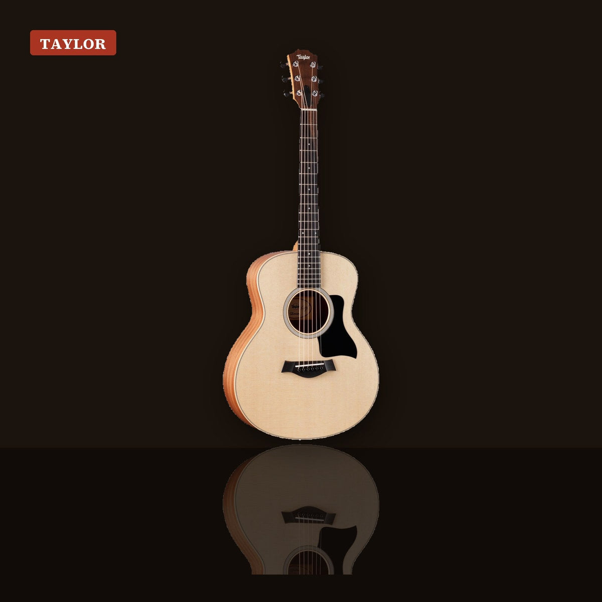 Travel and small body guitars Taylor GS Mini sapele acoustic guitar
