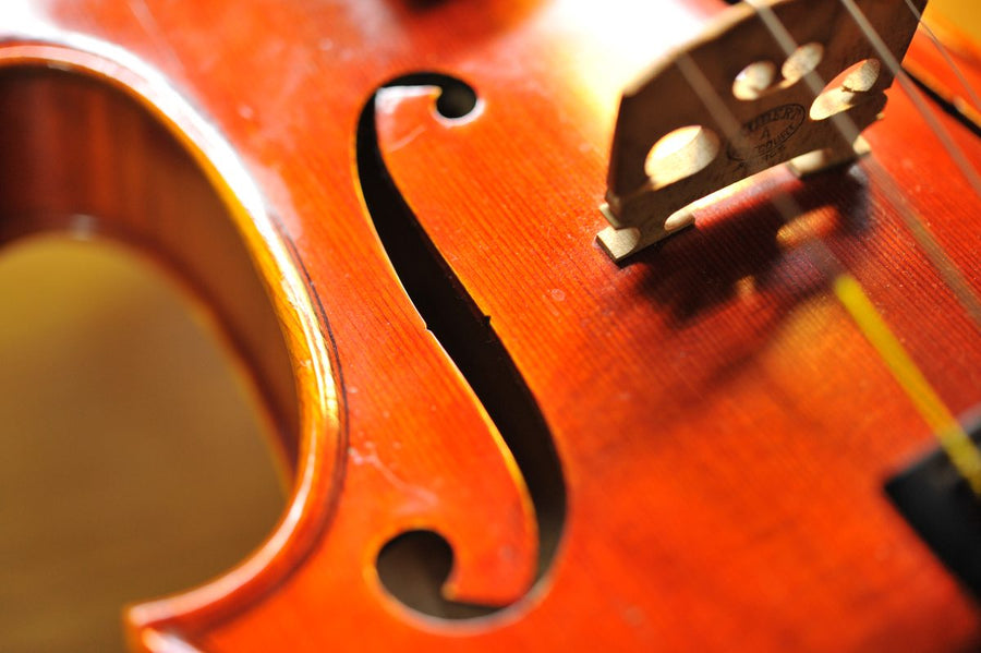 Fiddles and violins close-up of an f-hole and bridge