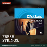 D'Addario EJ11 80/20 Bronze Acoustic Guitar Strings Light 12-53 from Picker's Friend Music in Athens Tennessee