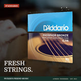 D'Addario EJ16 Phosphor Bronze Acoustic Guitar Strings Light 12-53 from Picker's Friend Music in Athens Tennessee