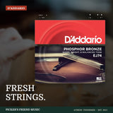 D'Addario EJ74 Phosphor Bronze Mandolin Strings Medium 11-40 from Picker's Friend Music in Athens Tennessee