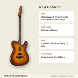 Fender Acoustasonic Standard Telecaster Acoustic-Electric Guitar Honey Burst at a glance body body finish neck fingerboard