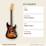 Fender American Professional II Stratocaster Electric Guitar 3-Color Sunburst at a glance body body finish neck fingerboard