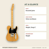 Fender American Professional II Telecaster Electric Guitar Butterscotch Blonde at a glance body body finish neck fingerboard