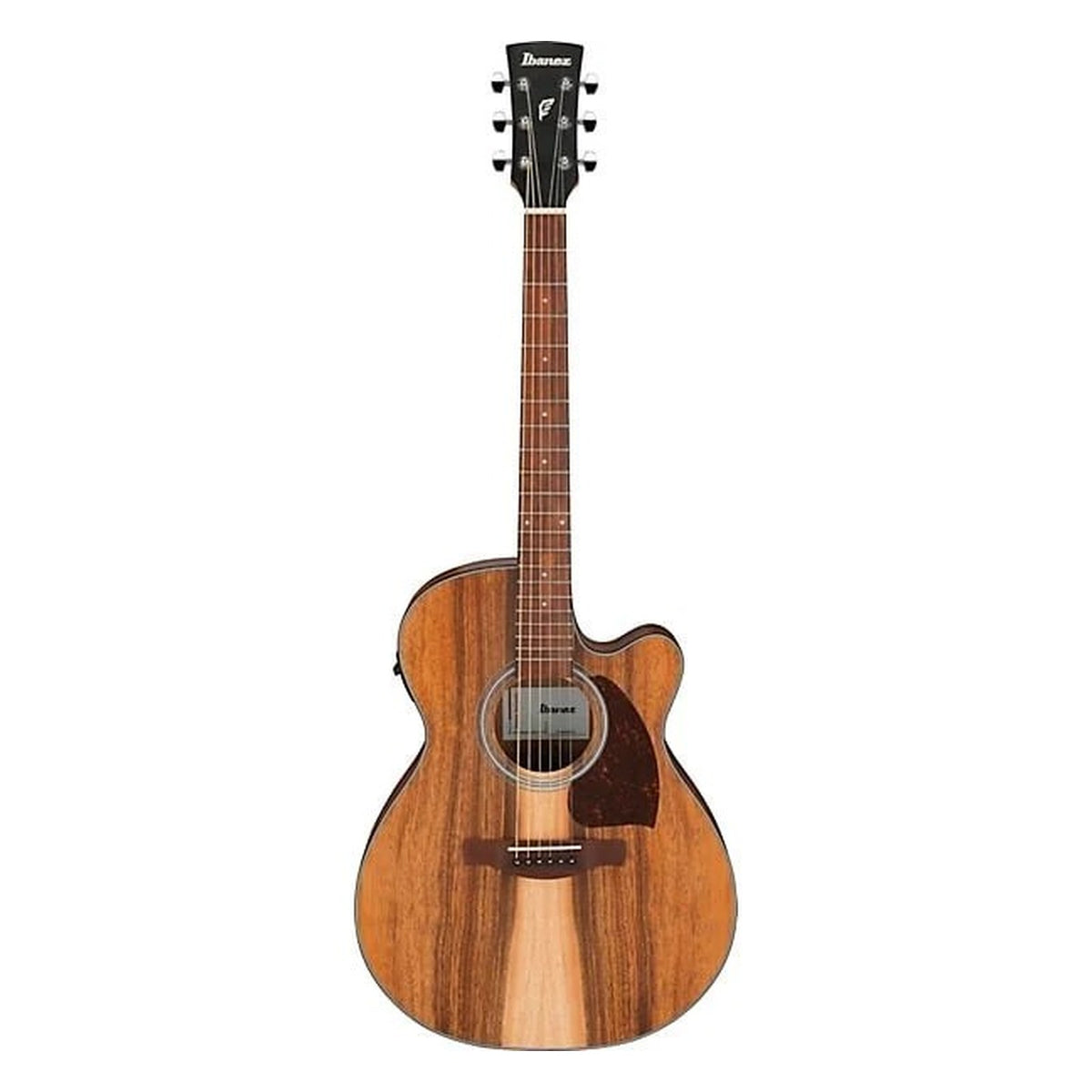Ibanez PC50WSCE Grand Concert Acoustic-Electric Guitar Open Pore Brown on white background