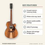 Ibanez PC50WSCE Grand Concert Acoustic-Electric Guitar Open Pore Brown key features grand concert cutaway body white siris top back ibanez undersaddle pickup aeq-2t preamp ibanez advantage bridge pins