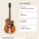 Ibanez PC50WSCE Grand Concert Acoustic-Electric Guitar Open Pore Brown at a glance body shape top back & sides fingerboard