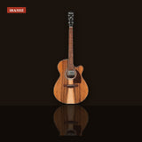 Ibanez PC50WSCE Grand Concert Acoustic-Electric Guitar Open Pore Brown studio shot