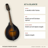 Kentucky KM-250 Deluxe A-Style Mandolin with Gig Bag Vintage Sunburst at a glance style top back & sides neck