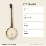 Recording King Dirty 30s 5-String Open Back Banjo at a glance strings style neck head