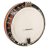 Recording King RK-R20 Songster 5-String Resonator Banjo on white background