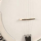 Recording King RK-R20 Songster 5-String Resonator Banjo close-up detail