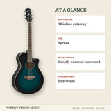 Yamaha APX600 Thinline Acoustic-Electric Guitar Oriental Blue Burst at a glance body shape top back & sides fingerboard